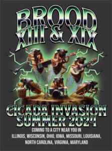 2024 Cicada Rock Band T Shirt